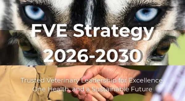 FVE prezintă strategia 2026-2030 pentru profesia veterinară europeană
