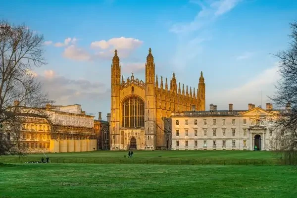 Universitatea Cambridge lansează un studiu despre osteosarcomul la câini