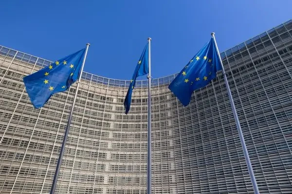 Consiliul și Parlamentul European au ajuns la un acord provizoriu privind bunăstarea și trasabilitatea pisicilor și câinilor în Europa
