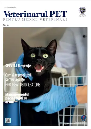 veterinarul pet nr 6