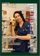 Revista Veterinarul Știință și Practică nr. 19