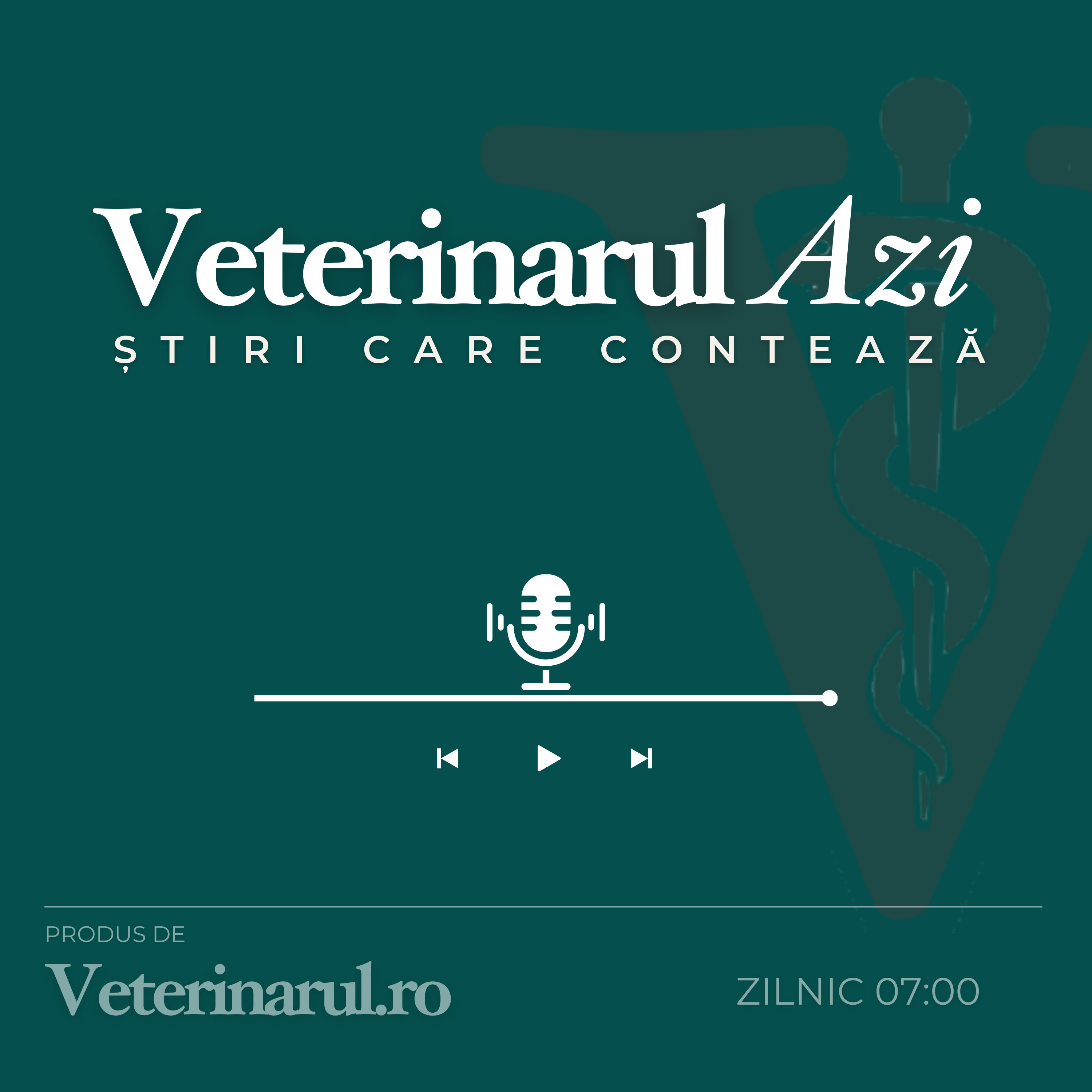 Podcastul Veterinarul Azi podcast artwork