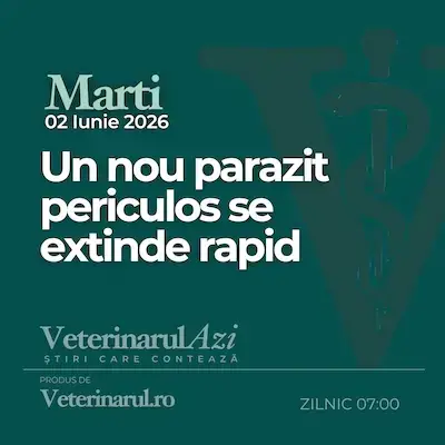Veterinarul Azi Marți 02.06.2026