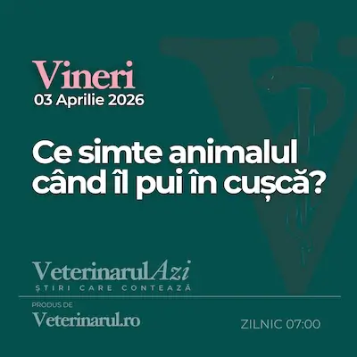 Veterinarul Azi Vineri 03.04.2026