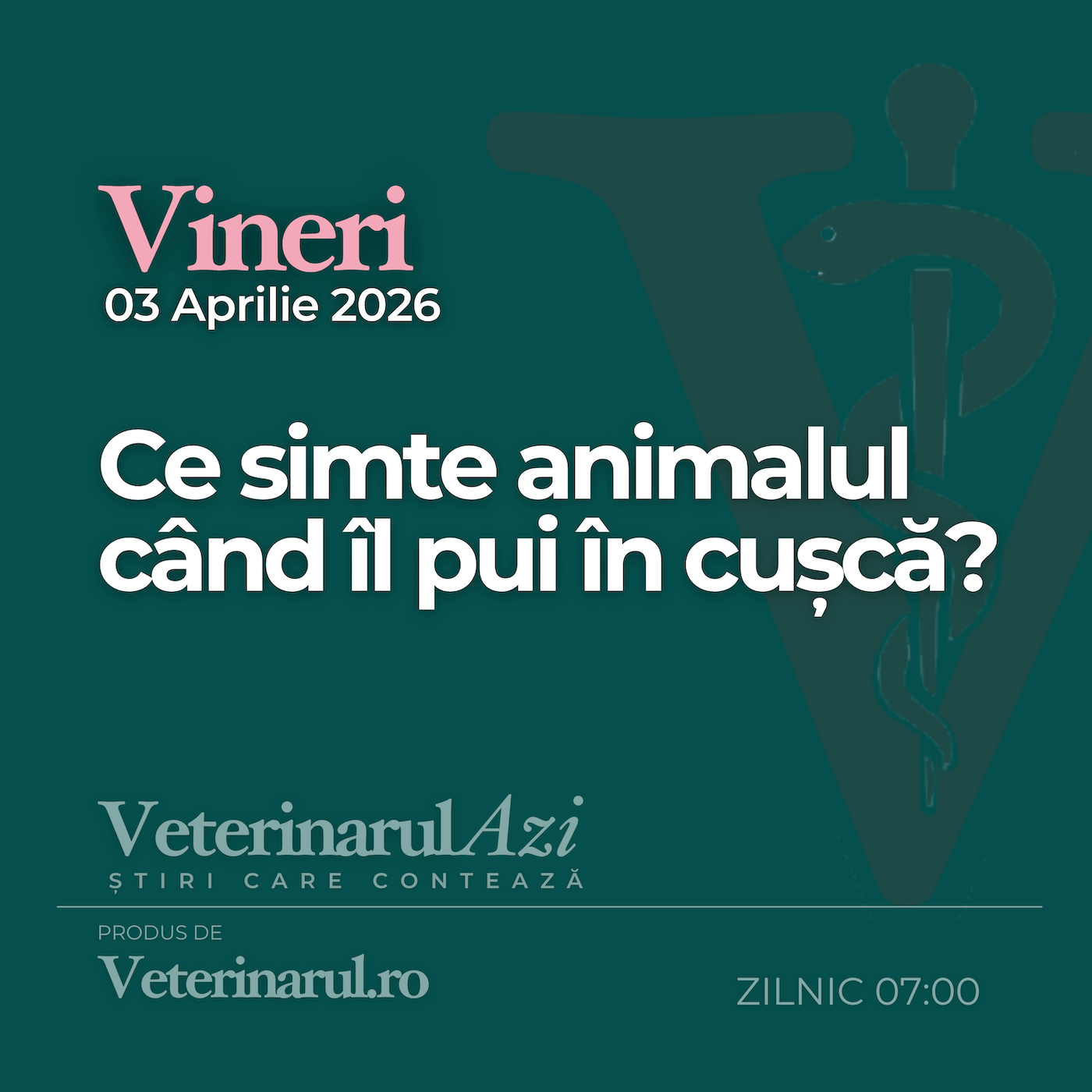 Ascultă aici știrile - Veterinarul Azi - Vineri 03 Aprilie episode artwork