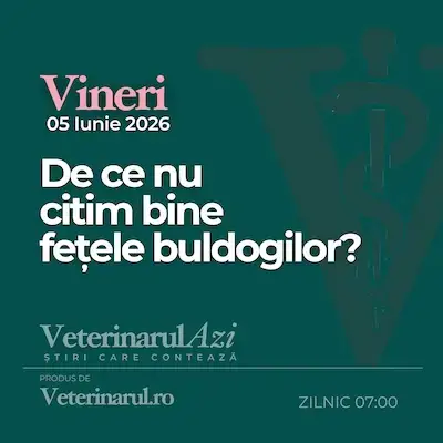 Veterinarul Azi Vineri 05.06.2026