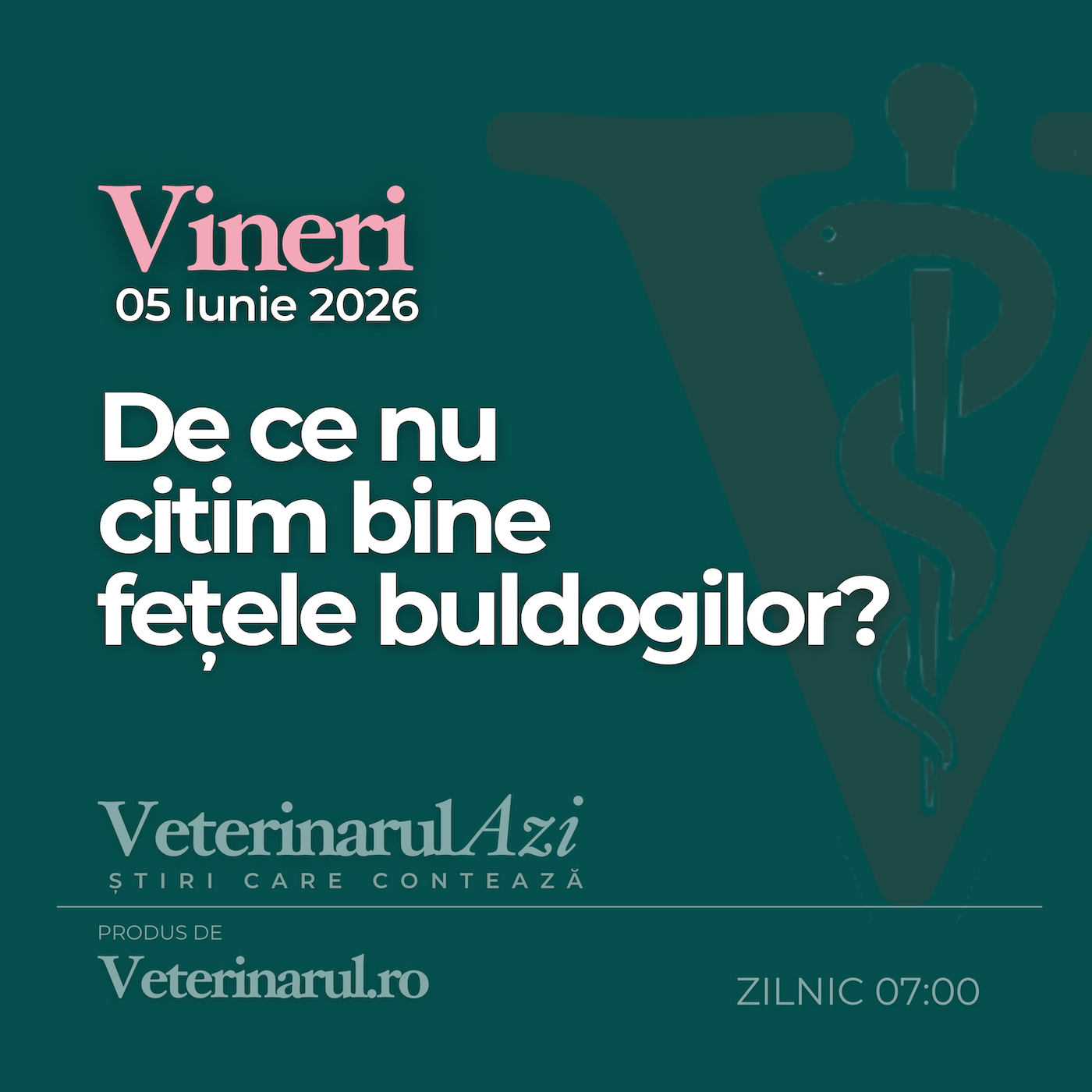 Veterinarul Azi Vineri 05.06.2026 episode artwork