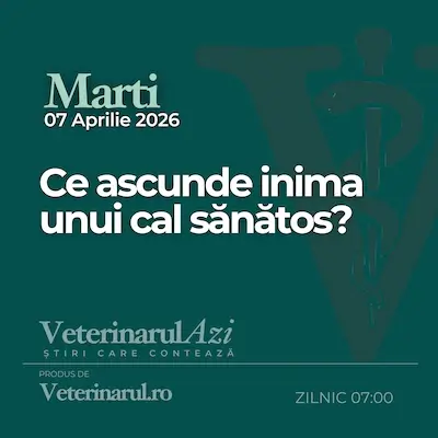 Veterinarul Azi Marti 07.04.2026