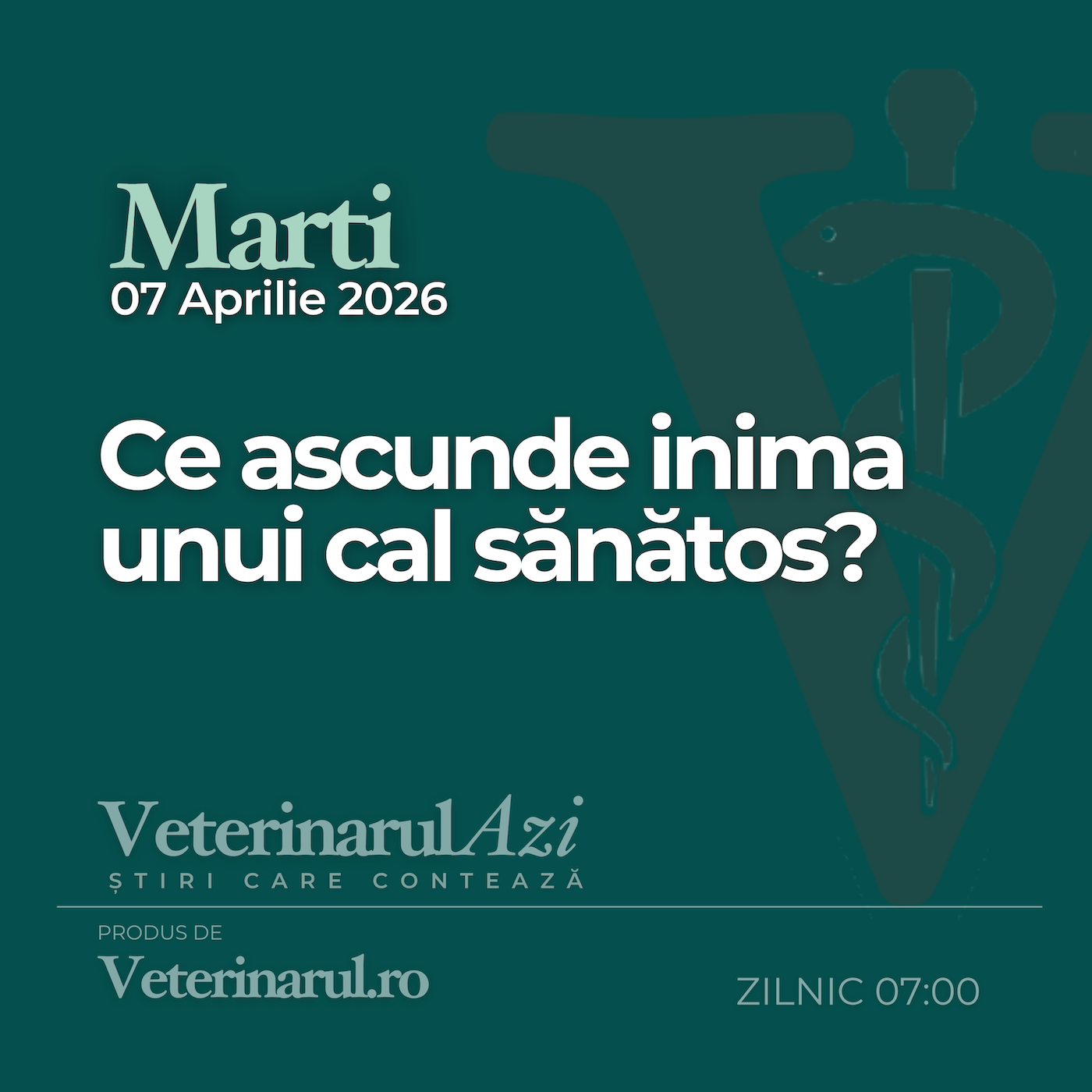 Veterinarul Azi Marti 07.04.2026 episode artwork