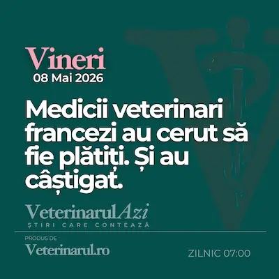 Veterinarul Azi Vineri 08.05.2026