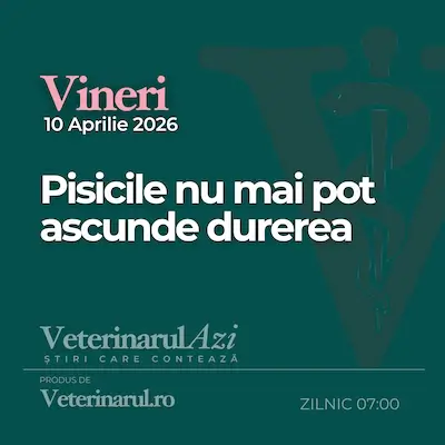 Veterinarul Azi Vineri 10.04.2026