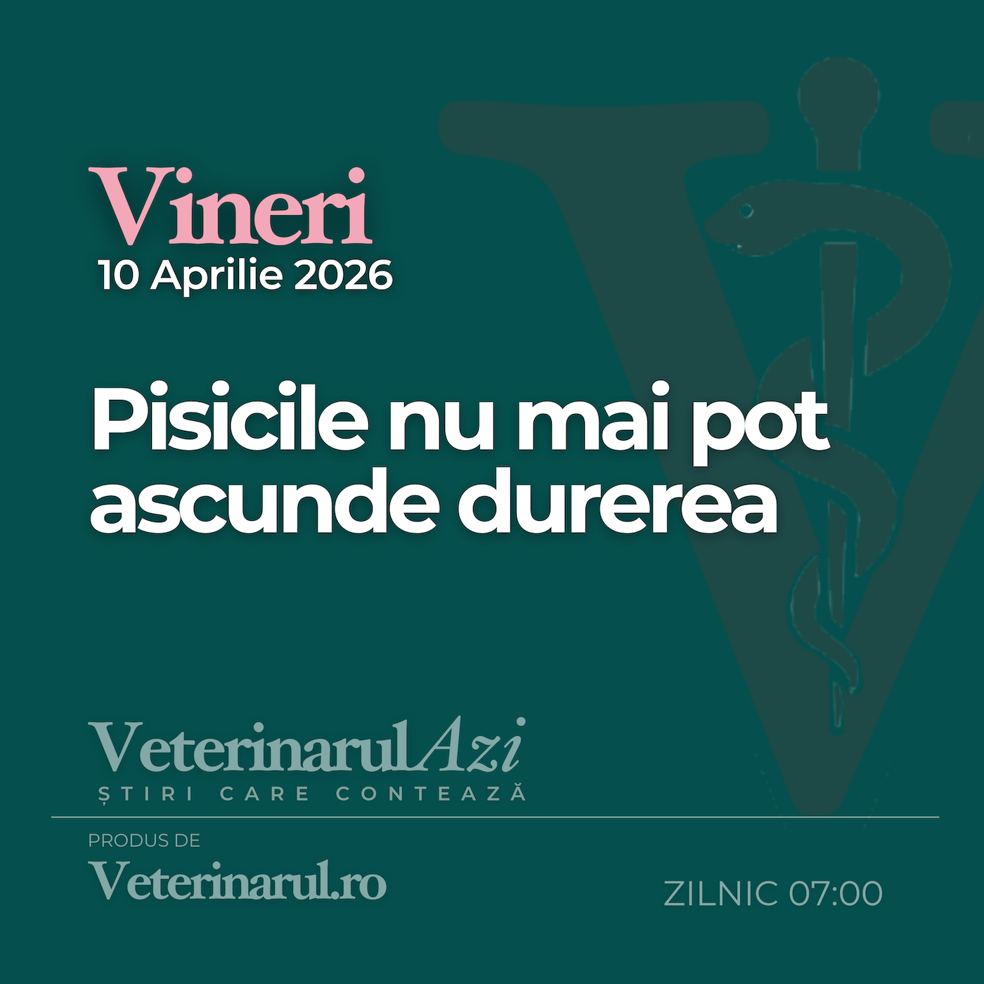 Veterinarul Azi Vineri 10.04.2026 episode artwork