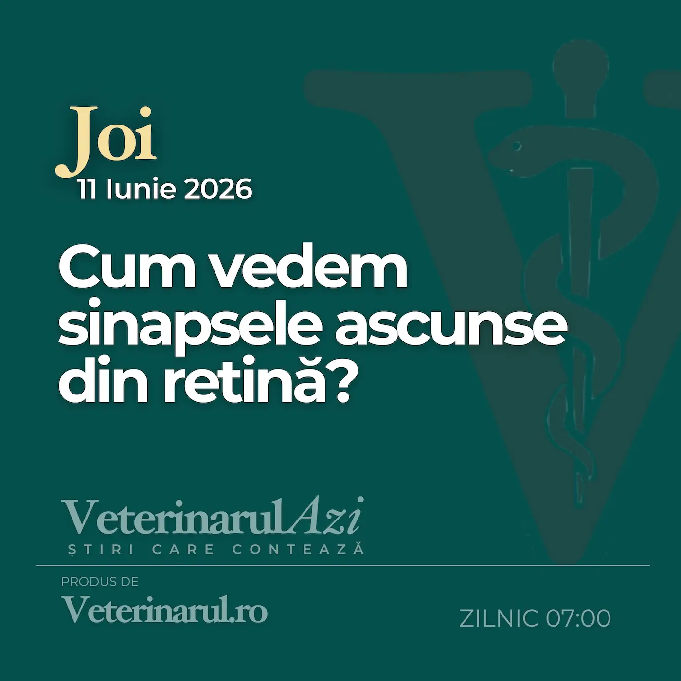 Veterinarul Azi Joi 11.06.2026