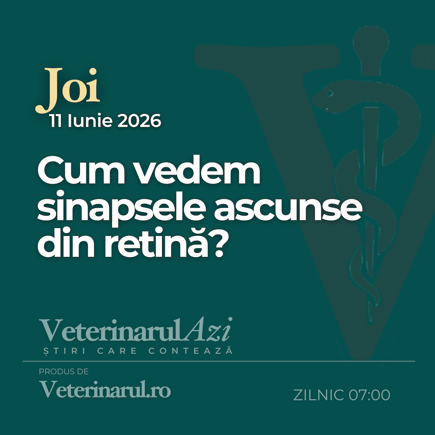 Veterinarul Azi Joi 11.06.2026 episode artwork