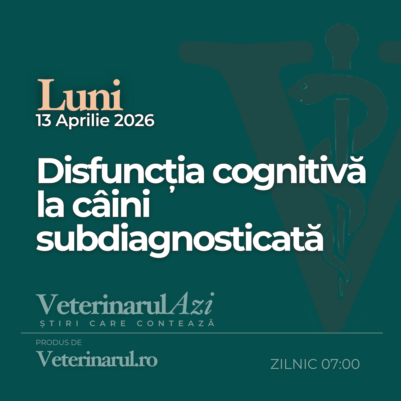 Veterinarul Azi Luni 13.04.2026 episode artwork