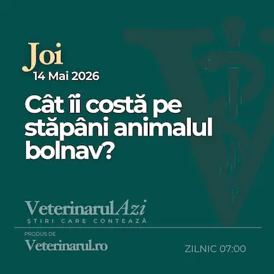 Veterinarul Azi Joi 14.05.2026