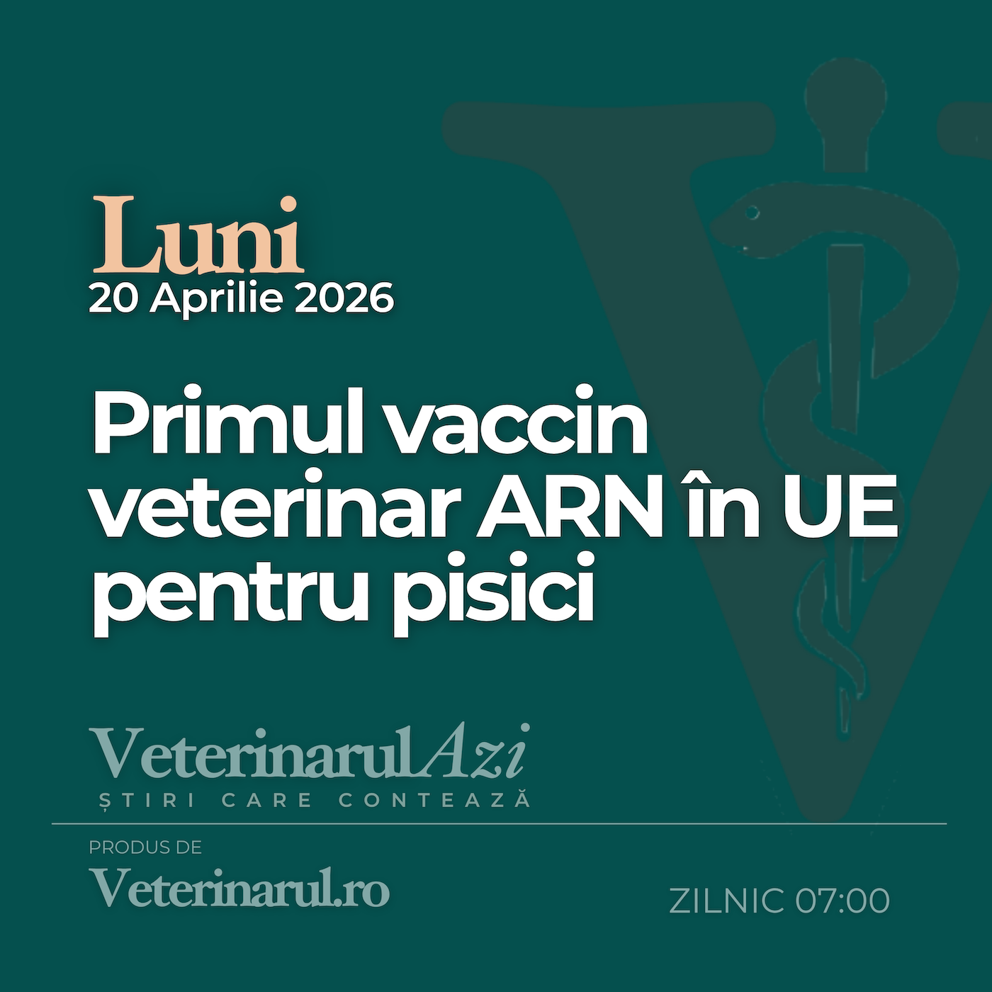 Veterinarul Azi Luni 20.04.2026 episode artwork