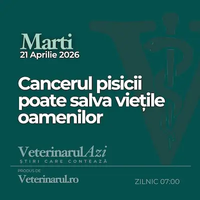 Veterinarul Azi Marti 21.04.2026