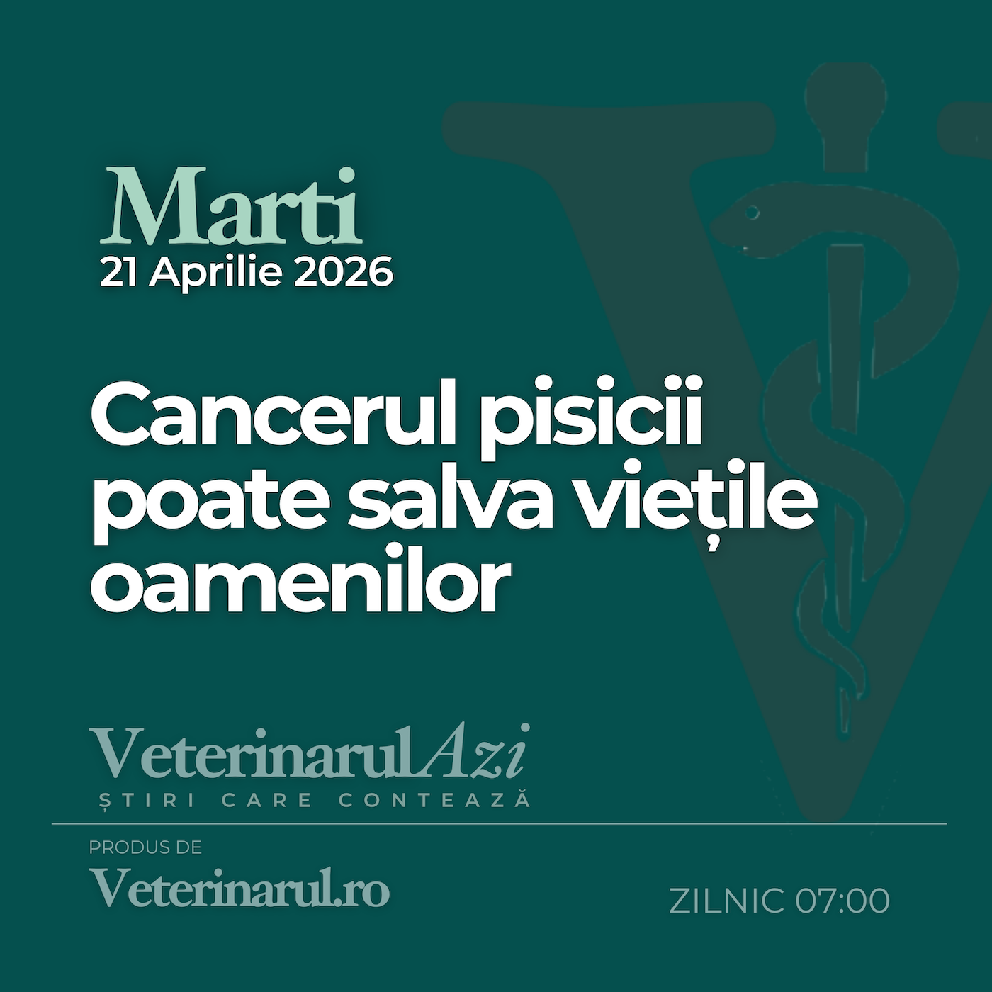 Veterinarul Azi Marti 21.04.2026 episode artwork