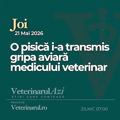 Veterinarul Azi Joi 21.05.2026
