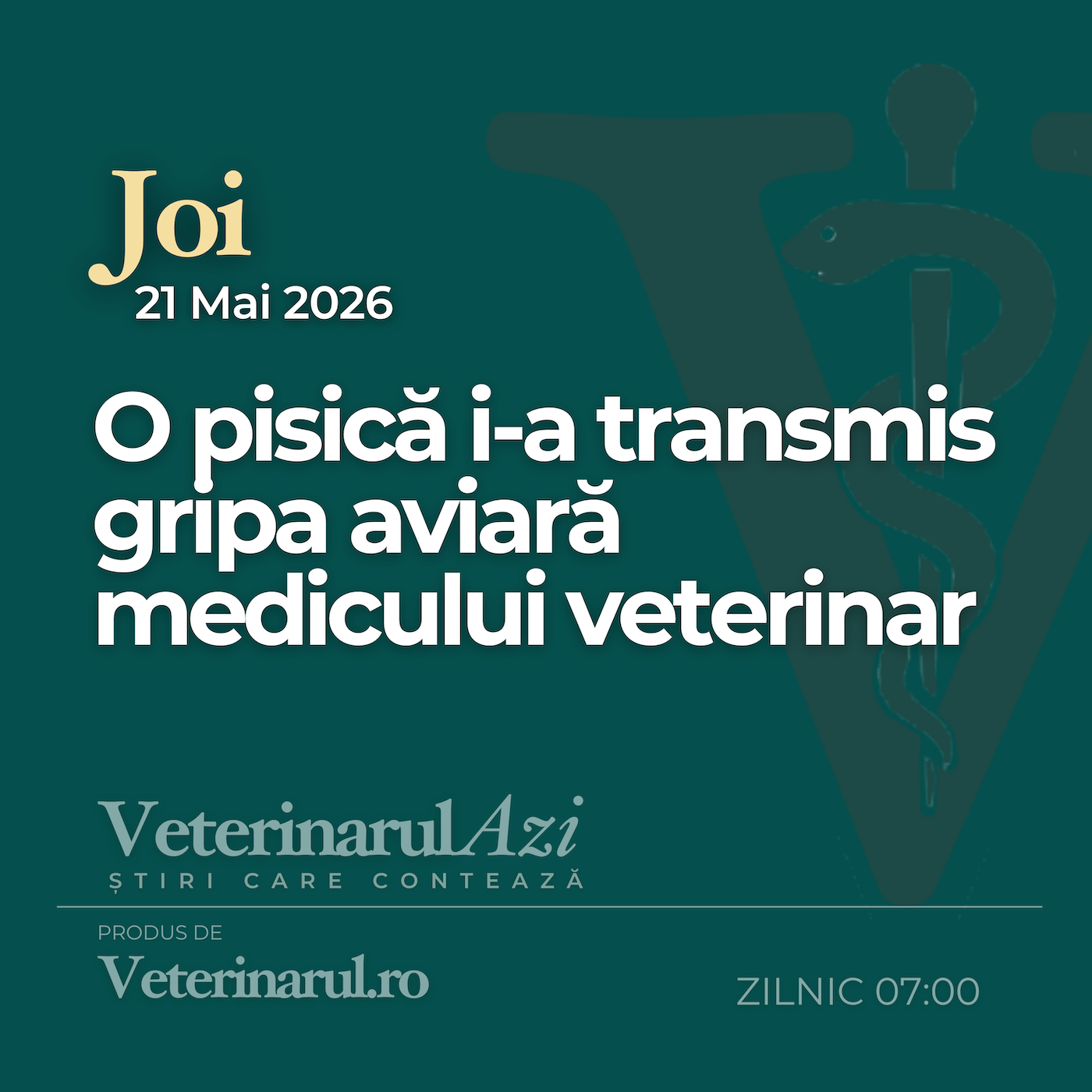 Veterinarul Azi Joi 21.05.2026 episode artwork