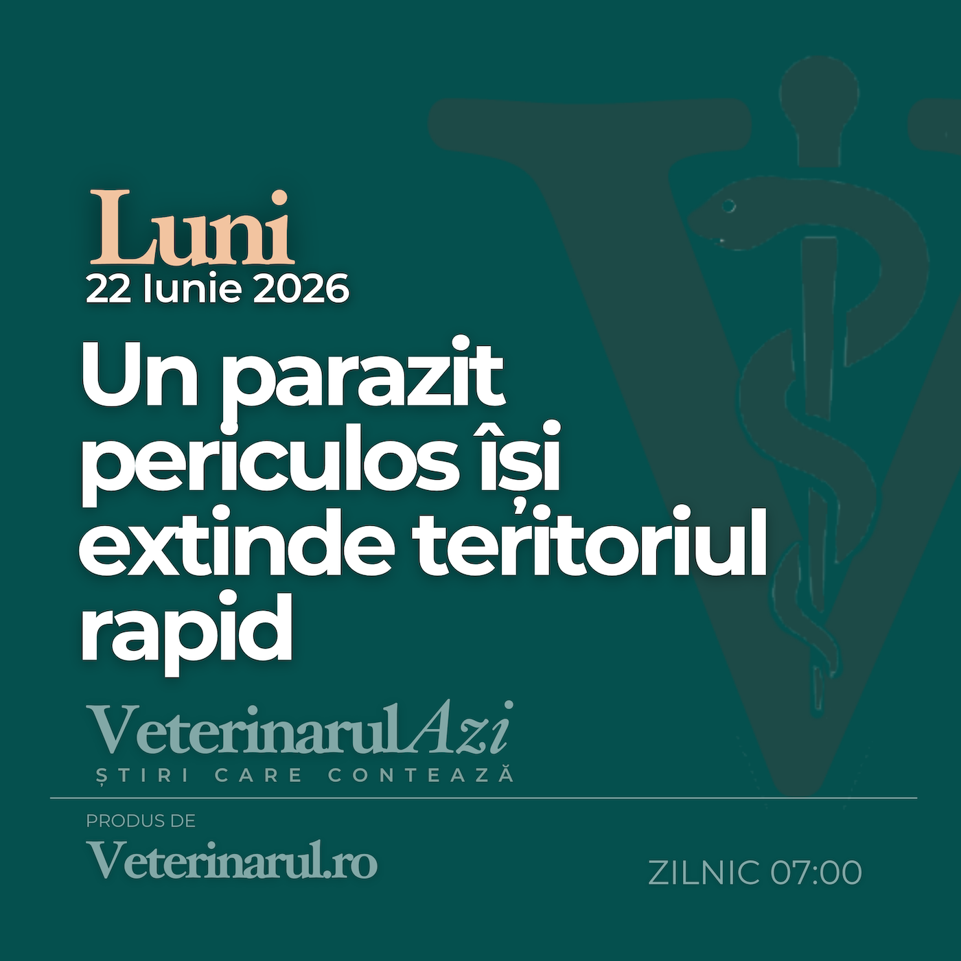 Veterinarul Azi Luni 22.06.2026 episode artwork