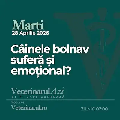 Veterinarul Azi Marți 28.04.2026