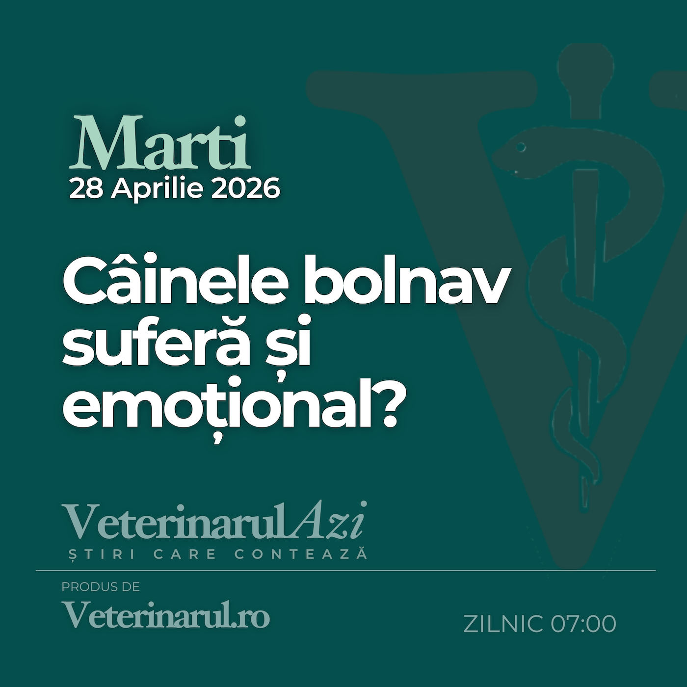 Veterinarul Azi Marți 28.04.2026 episode artwork