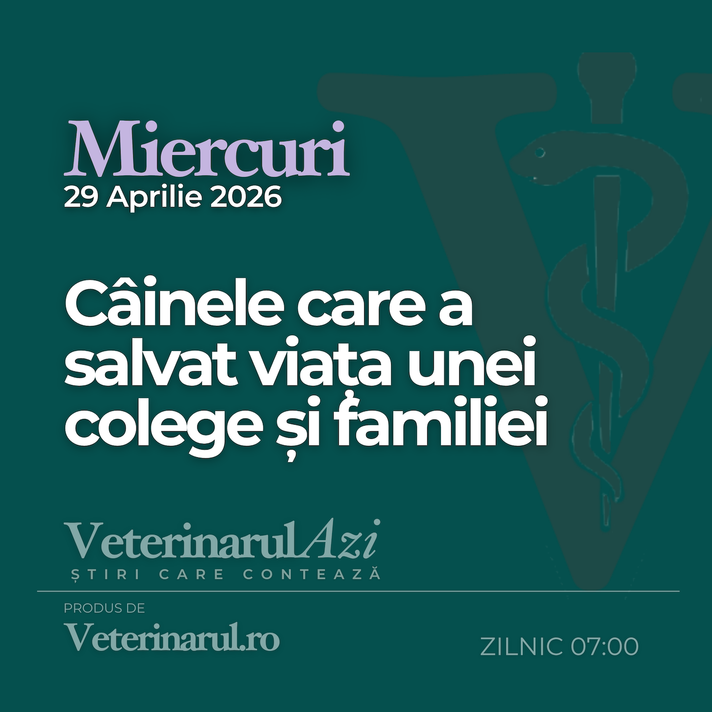 Veterinarul Azi Miercuri 29.04.2026 episode artwork