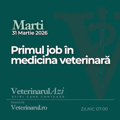 Veterinarul Azi Marti 31.03.2026