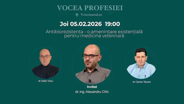 Episodul 10 Vocea Profesiei: Antibiorezistența: o amenințare existențială pentru medicina veterinară în 2026 | Invitat: Dr. ing. Alexandru Cîrîc