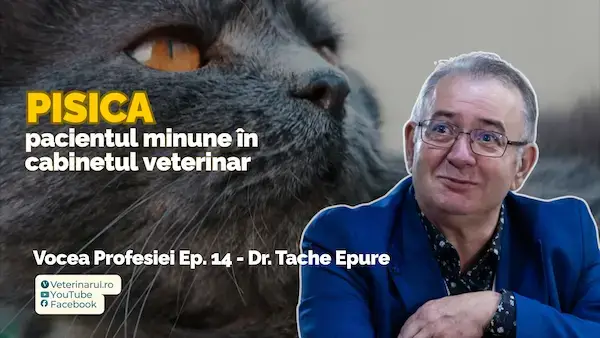 Episodul 12 Vocea Profesiei - Copertă