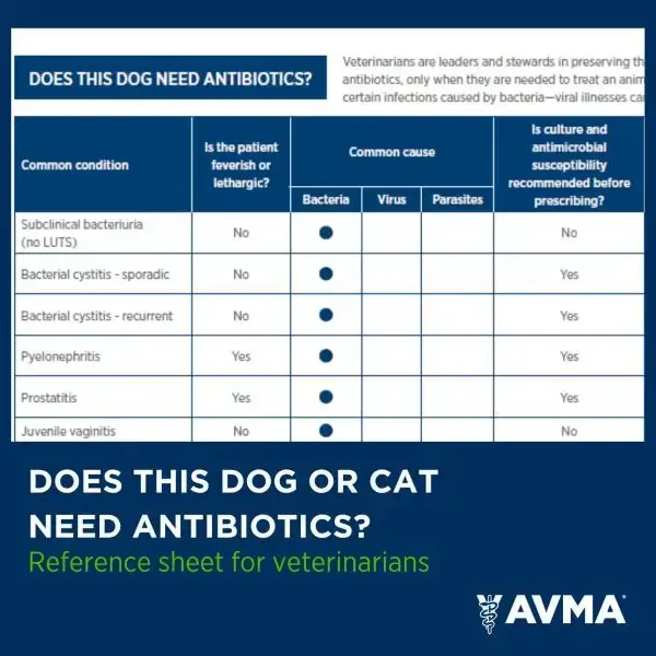 avma fig.1