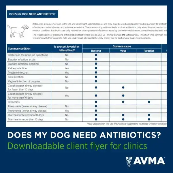 avma fig.2