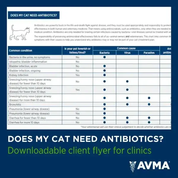 avma fig.3