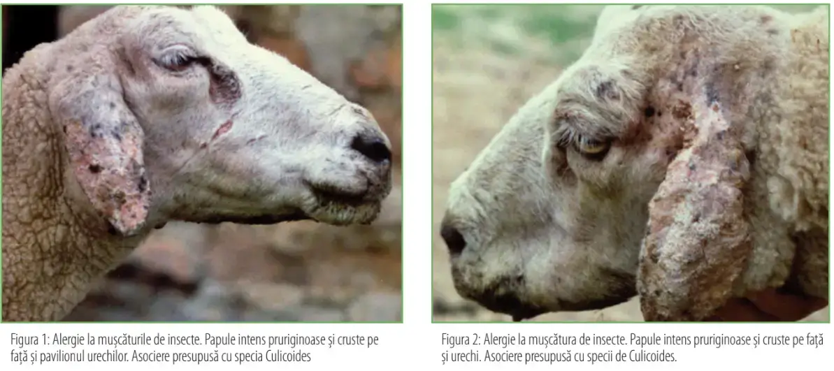 Screenshot 2025 02 18 125835