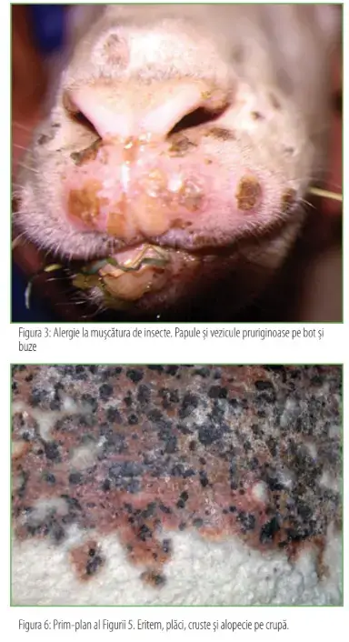 Screenshot 2025 02 18 125854