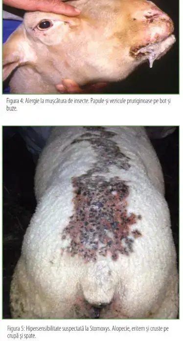 Screenshot 2025 02 18 125909