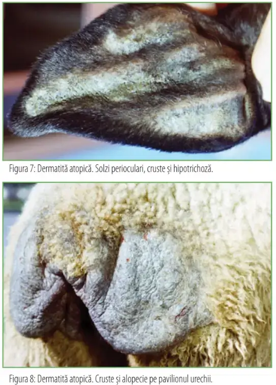 Screenshot 2025 02 18 125926