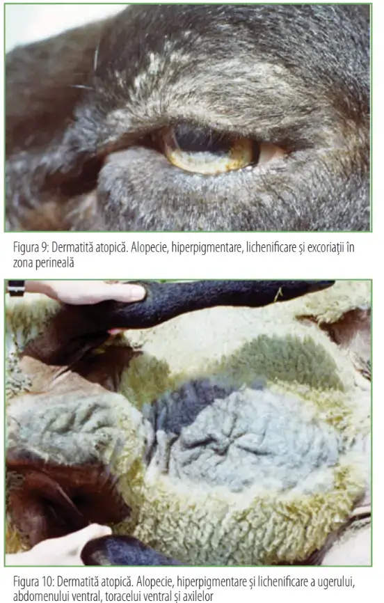 Screenshot 2025 02 18 125936