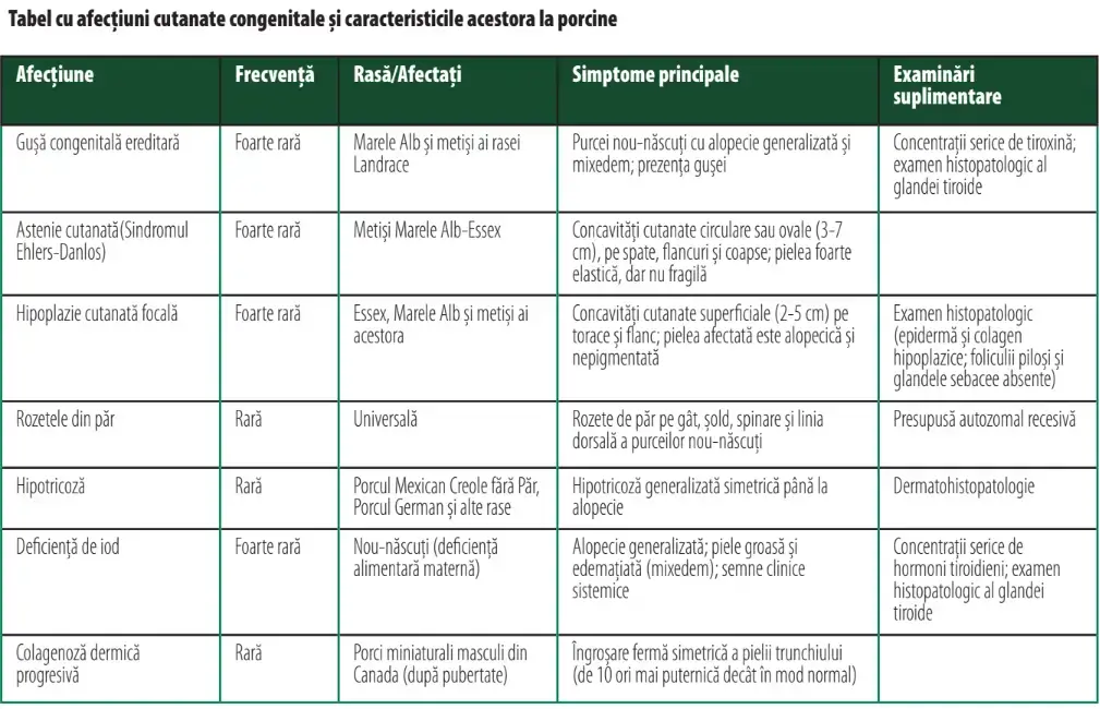 Screenshot 2025 02 19 102916