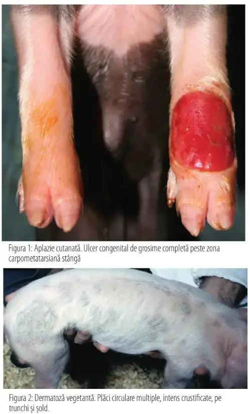 Screenshot 2025 02 19 102936