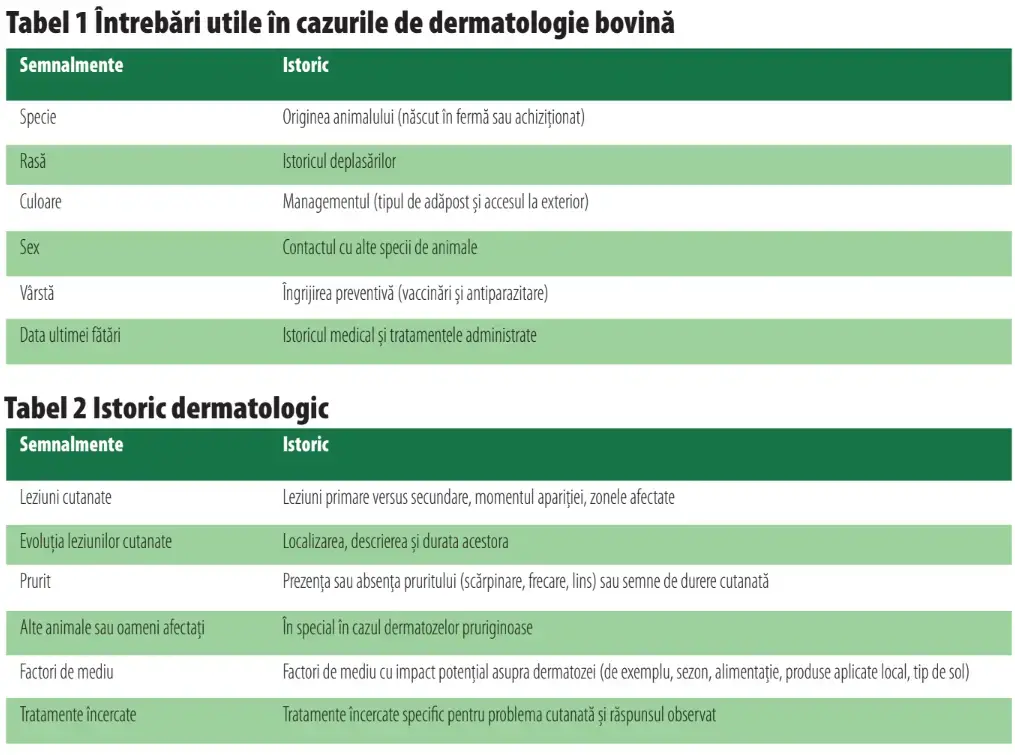 Screenshot 2025 02 19 104433