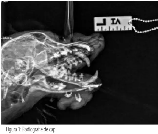 Screenshot 2025 02 13 110731