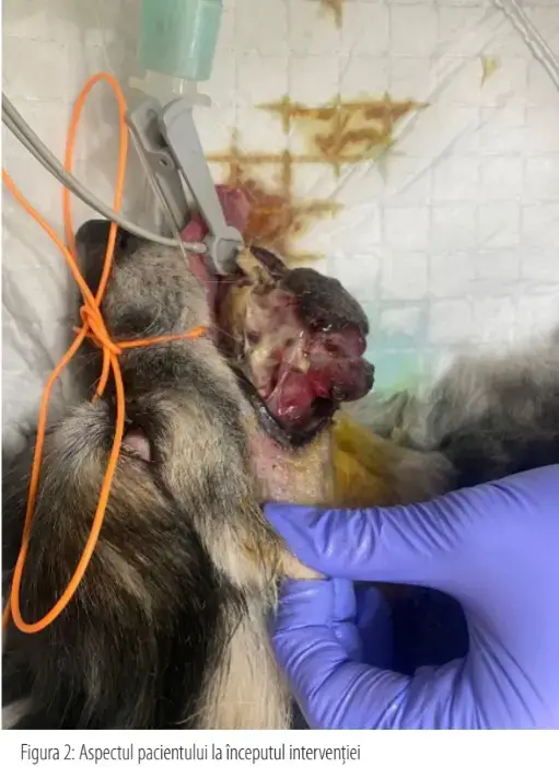 Screenshot 2025 02 13 110743