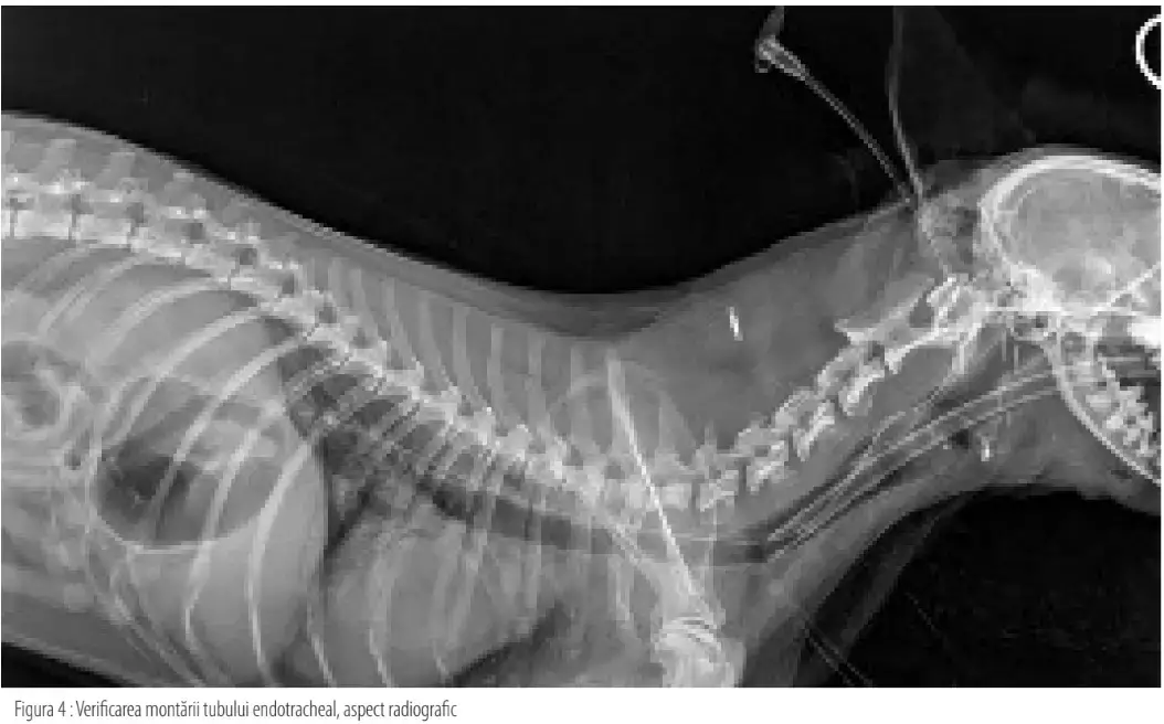 Screenshot 2025 02 13 110811