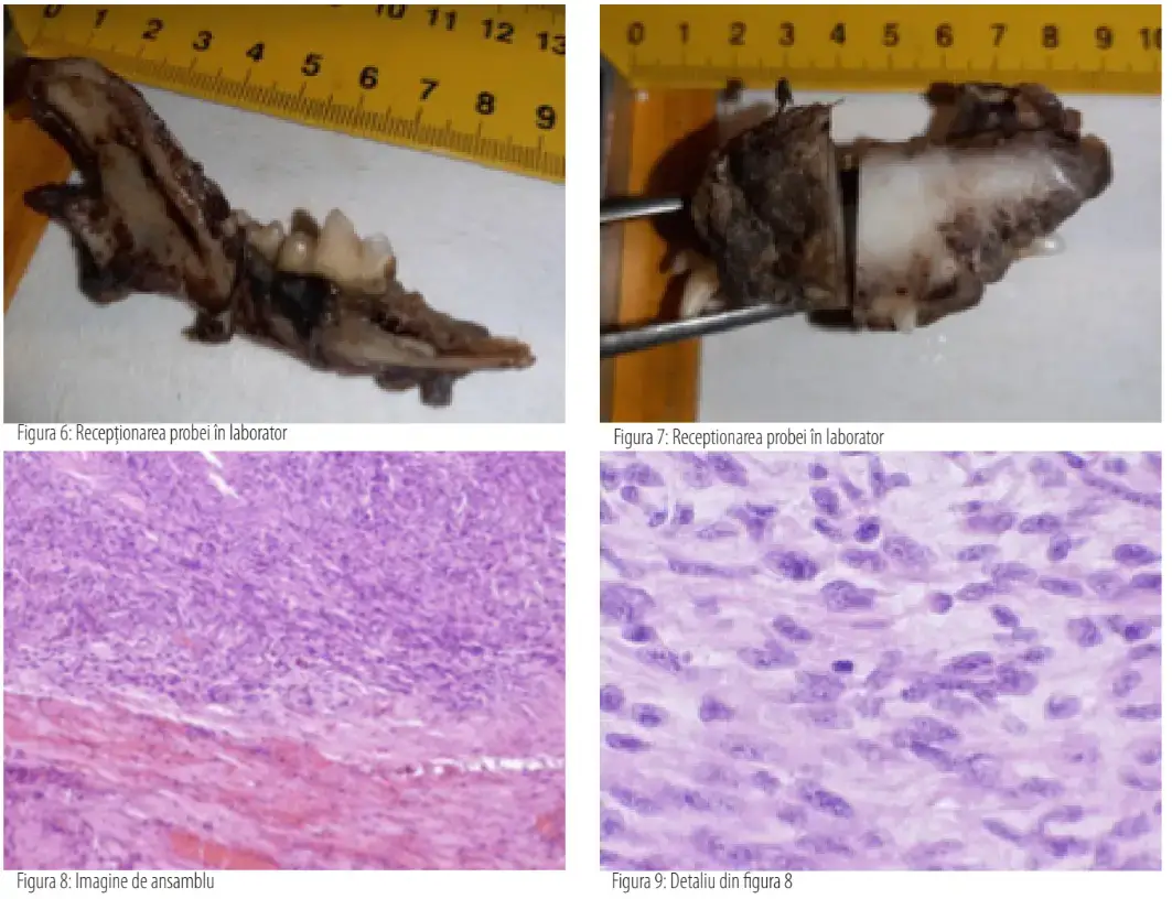 Screenshot 2025 02 13 110824