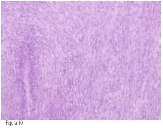 Screenshot 2025 02 13 110836