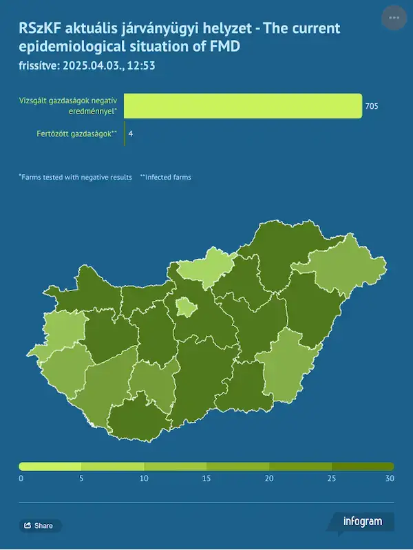 infografic febra aftoasa ungaria 2025