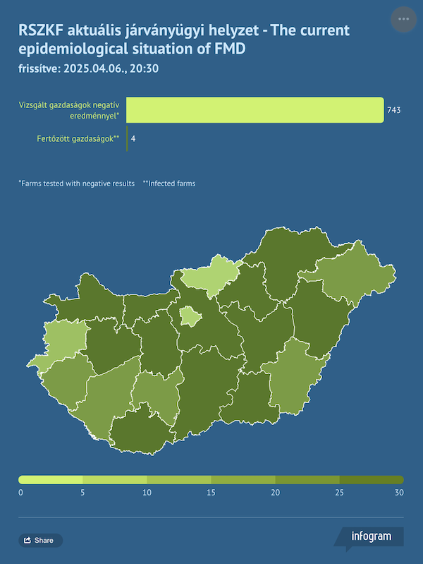 infografic febra aftoasa ungaria 6 aprilie